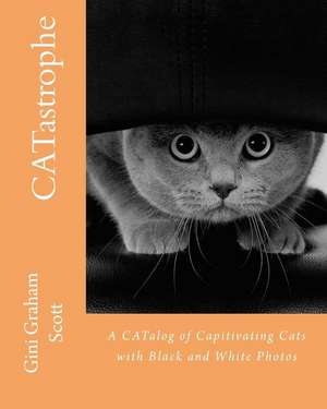 Catastrophe: A Catalog of Capitivating Cats - With Black and White Photos de Gini Graham Scott