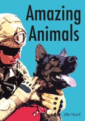 Amazing Animals (Set 11) de Jilly Hunt