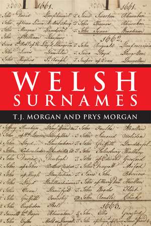 Welsh Surnames de T. J. Morgan