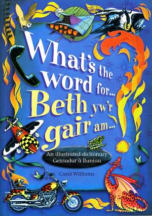 What's the Word for...? de Carol Williams