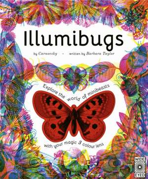 Illumibugs de Barbara Taylor