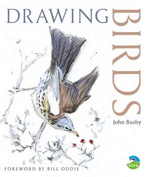 Drawing Birds de John Busby