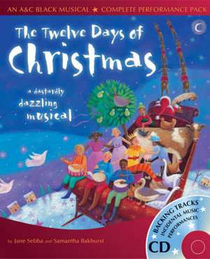 The Twelve Days of Christmas de Jane Sebba