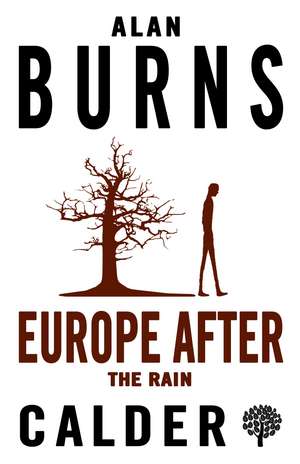 Europe after the Rain de Alan Burns