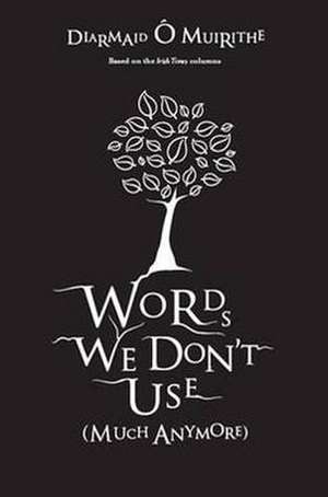 Words We Don't Use: Much Anymore de Diarmuid O Muirithe