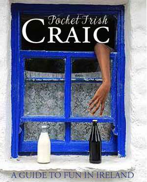 Pocket Irish Craic: A Guide to Fun in Ireland de Moira Butterfield