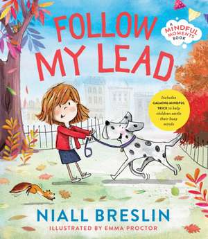 Follow My Lead de Niall Breslin