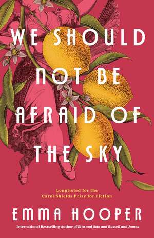 We Should Not Be Afraid of the Sky de Emma Hooper