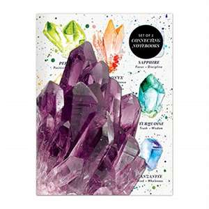 Crystals and Gems Connecting Notebook Set de Galison