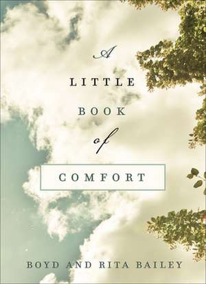 A Little Book of Comfort de Boyd Bailey