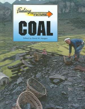 Coal de David M. Haugen