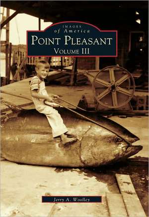 Point Pleasant, Volume III de Jerry A. Woolley