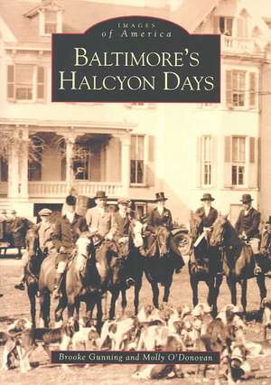 Baltimore's Halcyon Days de Brooke Gunning