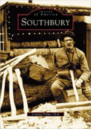 Southbury de Virginia Palmer-Skok