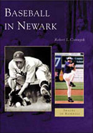 Baseball in Newark de Robert Louis Cvornyek