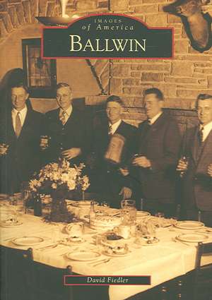 Ballwin de David Fiedler