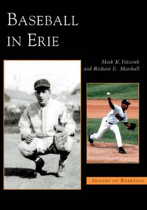 Baseball in Erie de Mark K. Vatavuk