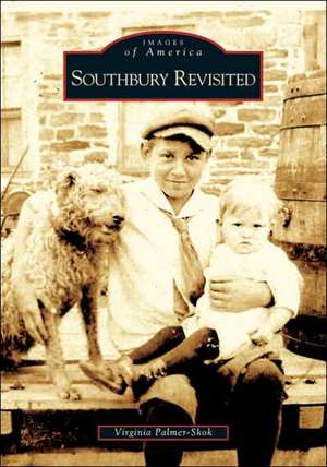 Southbury Revisited de Virginia Palmer-Skok