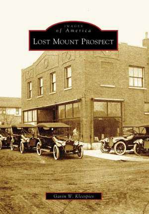 Lost Mount Prospect de Gavin W. Kleespies