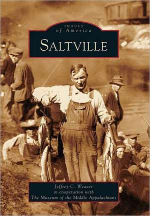 Saltville de Jeffrey C. Weaver