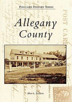 Allegany County de Albert L. Feldstein