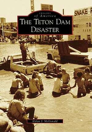 The Teton Dam Disaster de Dylan J. McDonald