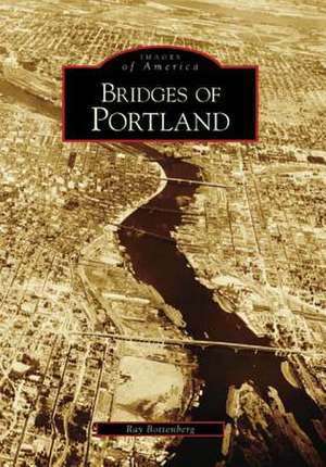 Bridges of Portland de Ray Bottenberg