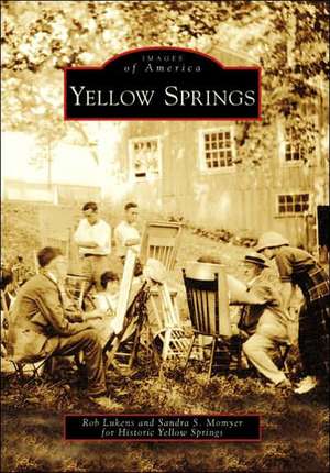 Yellow Springs de Rob Lukens