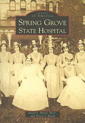 Spring Grove State Hospital de David S. Helsel