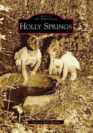 Holly Springs de Town of Holly Springs