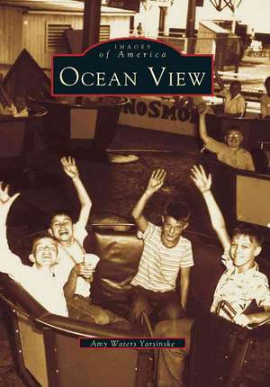 Ocean View de Amy Waters Yarsinske