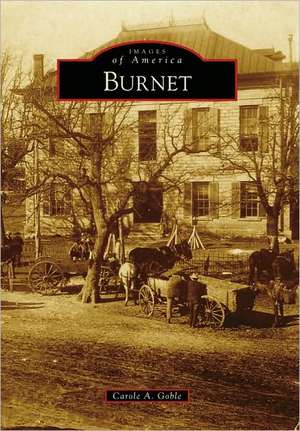 Burnet de Carole A. Goble