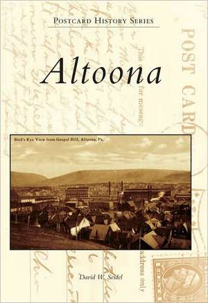 Altoona de David W. Seidel