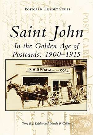 Saint John in the Golden Age of Postcards: 1900-1915 de Terry R. J. Keleher