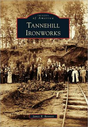 Tannehill Ironworks de James R. Bennett