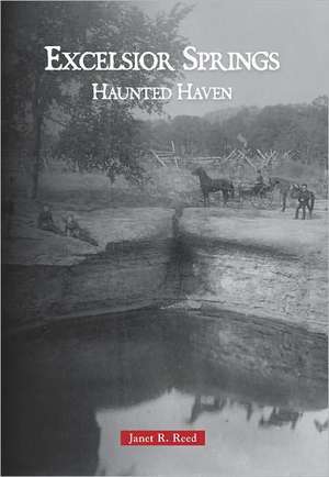 Excelsior Springs de Janet Reed