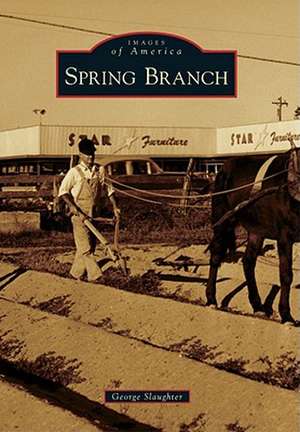 Spring Branch de George Slaughter