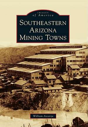 Southeastern Arizona Mining Towns de William Ascarza