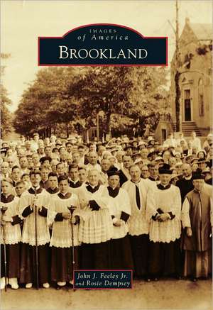 Brookland de Rosie Dempsey
