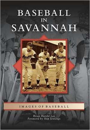 Baseball in Savannah de Brian Harold Lee