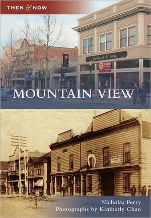 Mountain View de Nicholas Perry