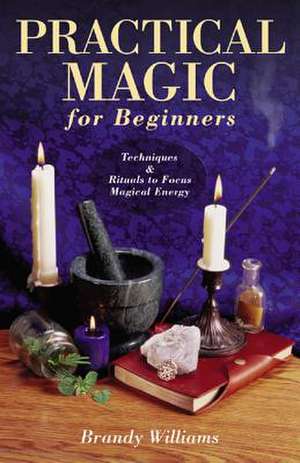 Practical Magic for Beginners de Brandy Williams