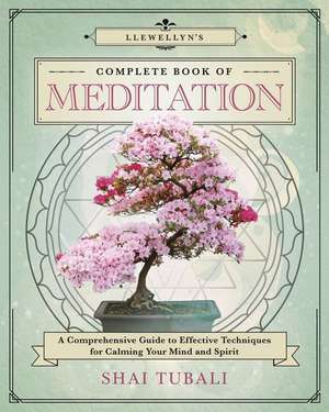 Llewellyn's Complete Book of Meditation de Shai Tubali