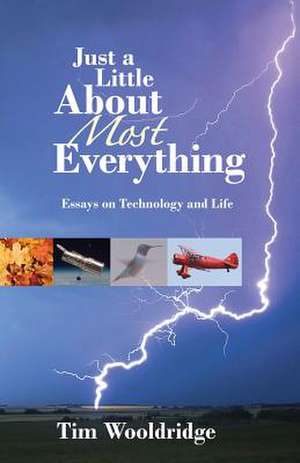 Just a Little about Most Everything: Essays on Technoloby and Life de Tim Wooldridge