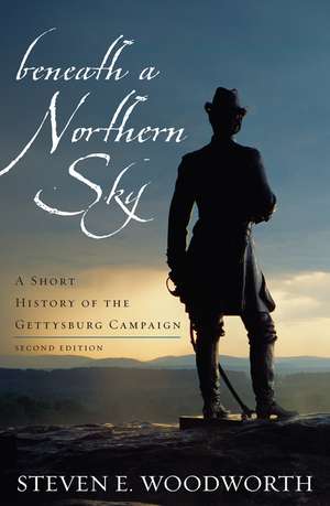 Beneath a Northern Sky de Steven E. Woodworth