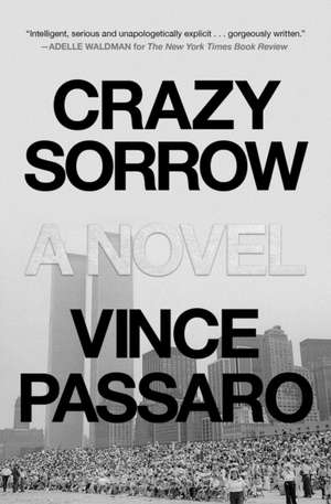 Crazy Sorrow de Vince Passaro