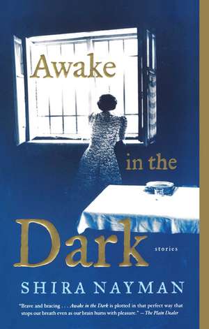 Awake in the Dark: Stories de Shira Nayman