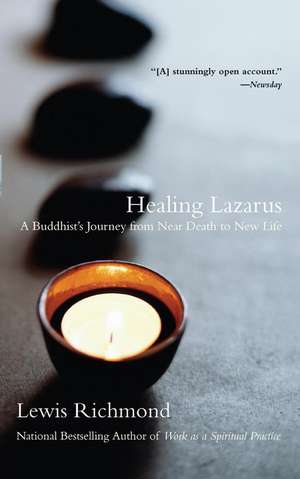 Healing Lazarus de Lewis Richmond