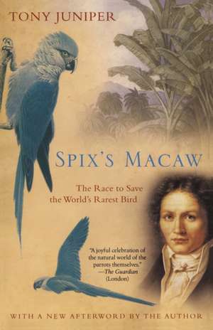 Spix's Macaw de Tony Juniper