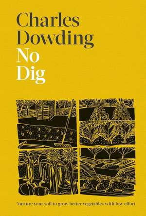 No Dig de Charles Dowding